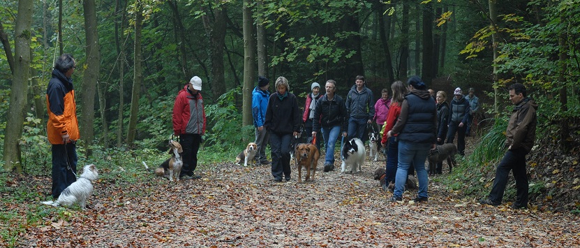 Priotitäten Rudeltraining